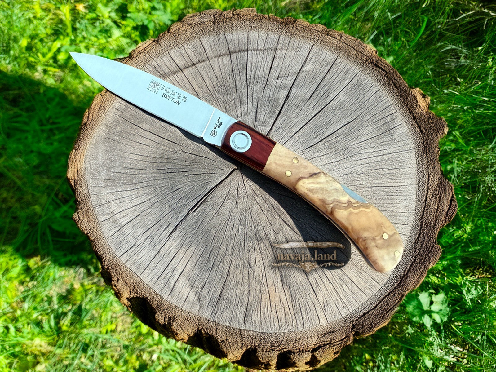 3.15” Joker Bretón Camping Folding Knife (Olive Wood Handle) Handmade in Spain