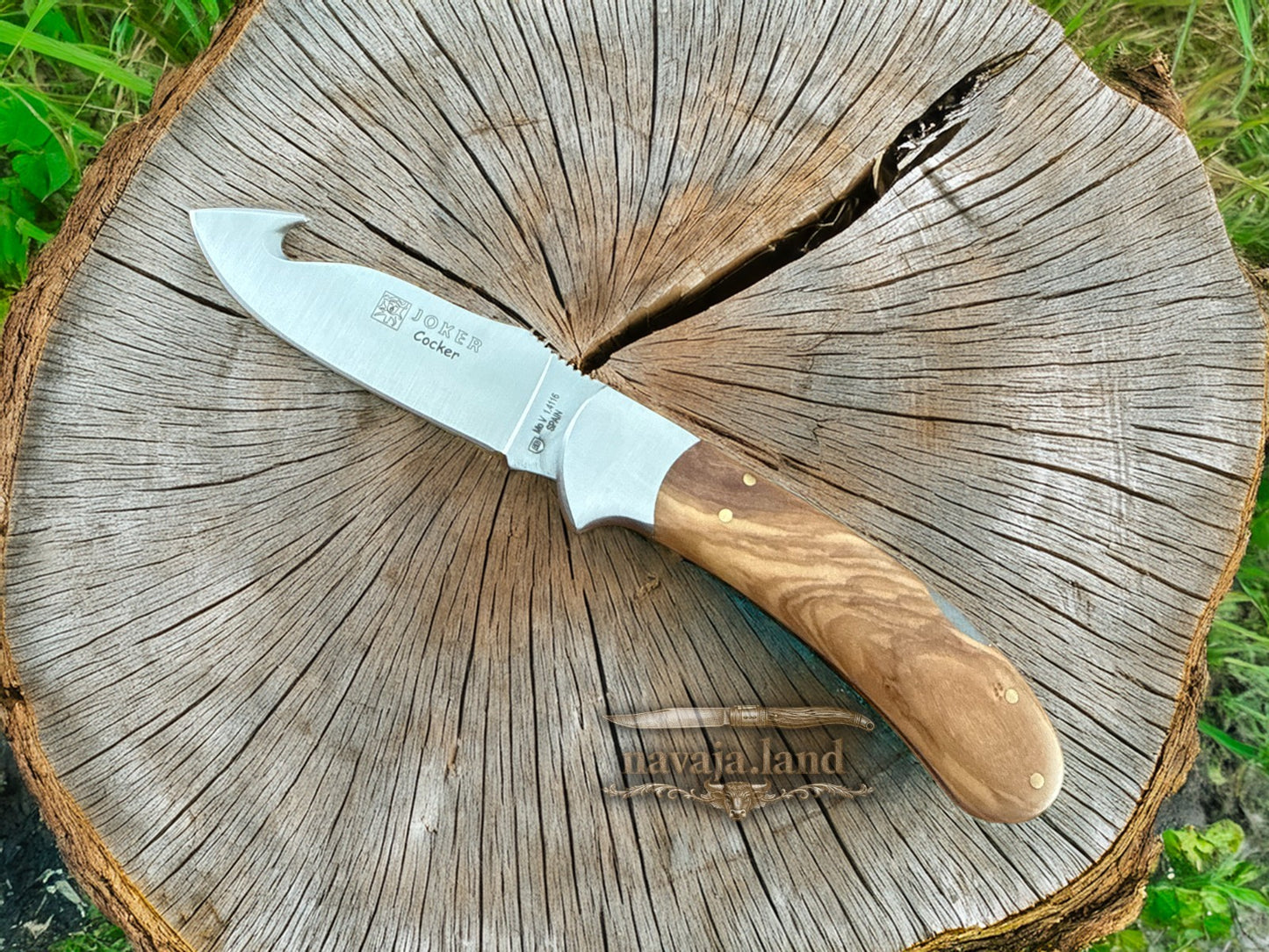 Joker Cocker Hunting Skinning Folding Knife 3.54” MOVA Blade Olive Wood Handle