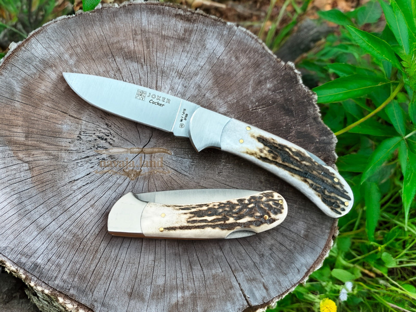 Joker Cocker Hunting Folding Knife 3.5” MOVA Blade Deer Antler Handle From Spain
