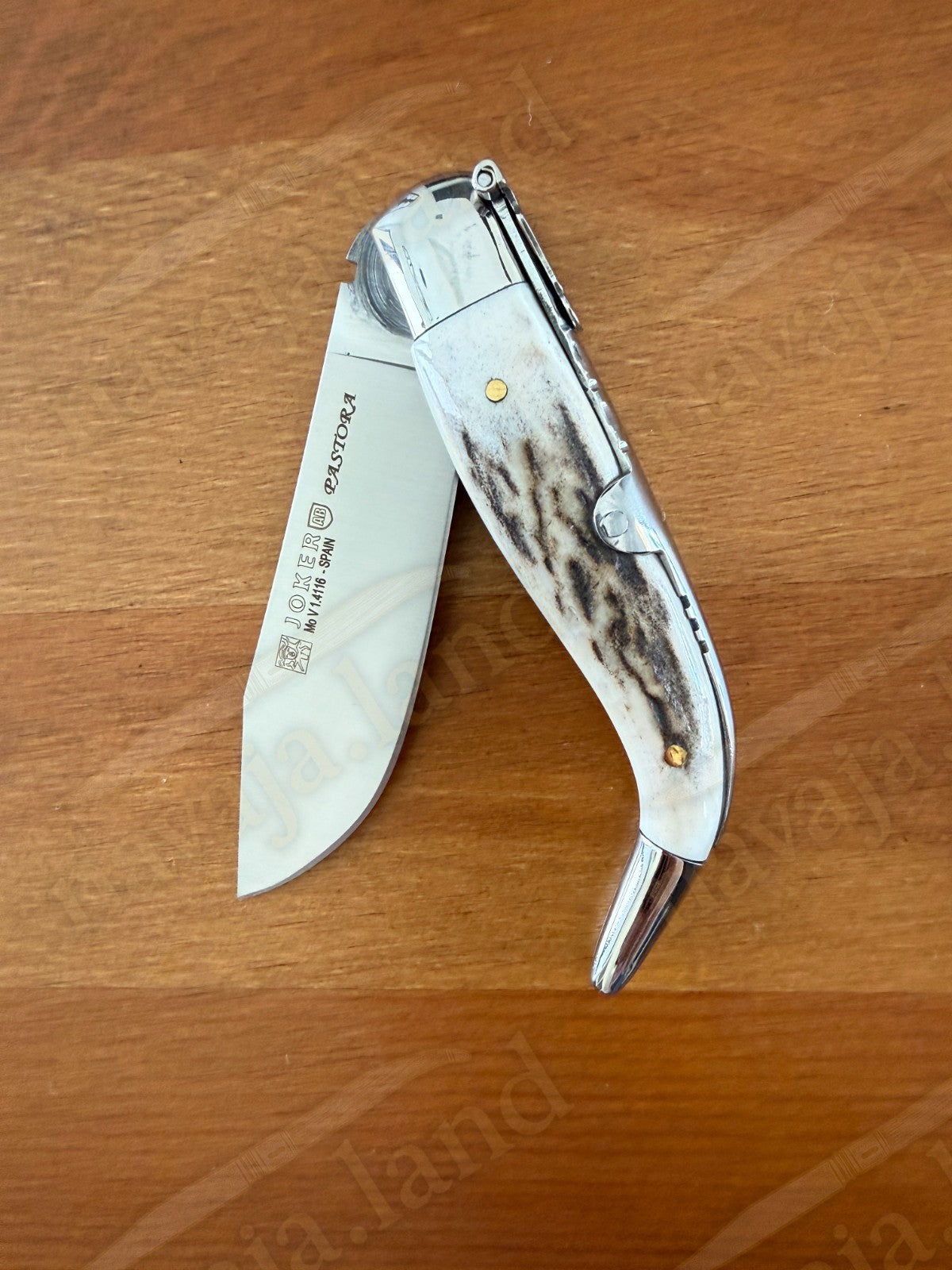 3.2” Joker Pastora Folding Knife Stag Horn Handle MOVA 1.4116 Stainless Steel