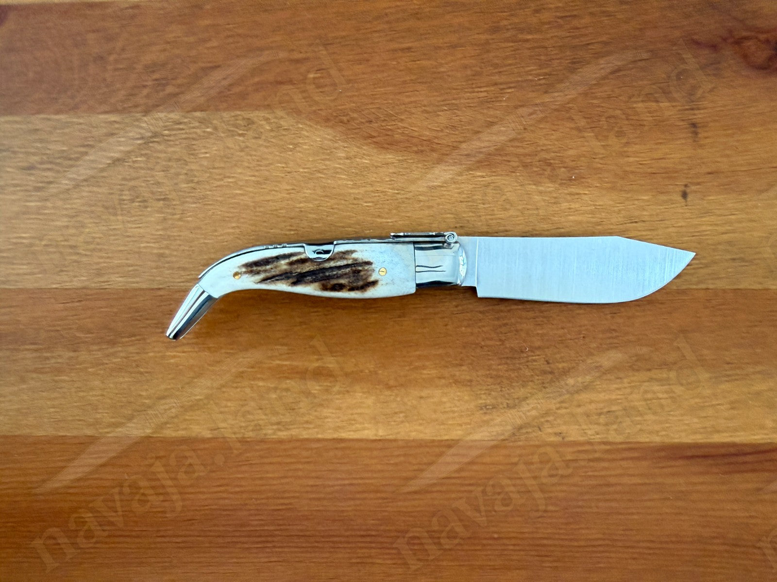 3.2” Joker Pastora Folding Knife Stag Horn Handle MOVA 1.4116 Stainless Steel