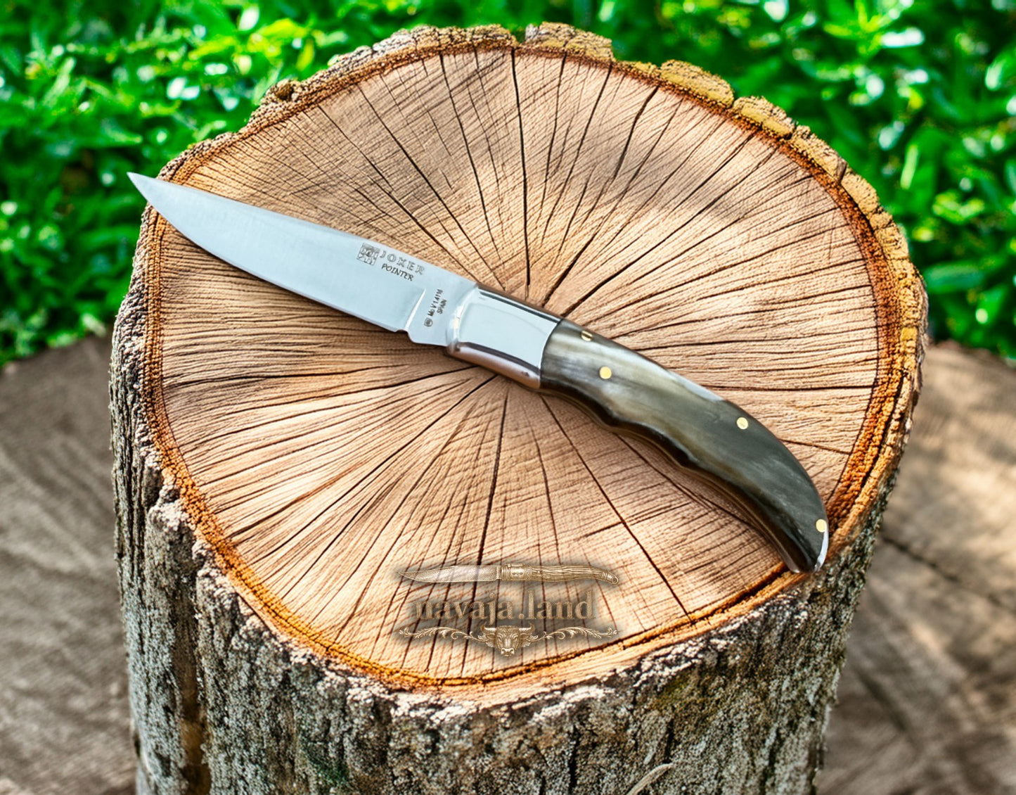 3” Joker Pointer Camping Folding Knife (Bull Horn Handle) Handmade in Spain