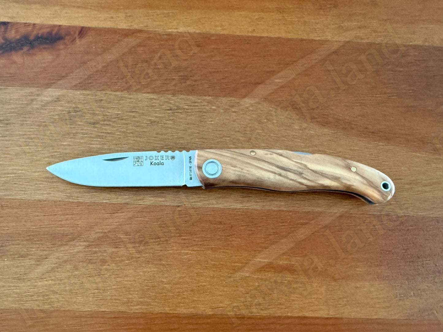 Joker Koala Pocket Knife 3.14” MOVA Blade Olive Wood Handle Handmade in Spain