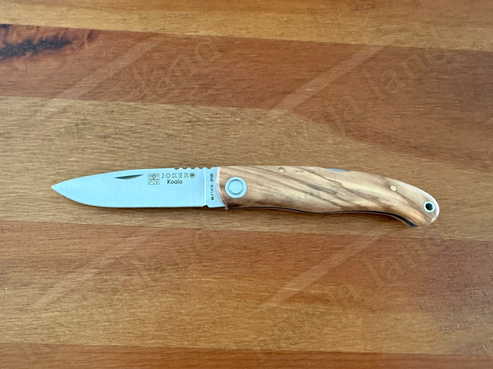 Joker Koala Pocket Knife 3.14” MOVA Blade Olive Wood Handle Handmade in Spain
