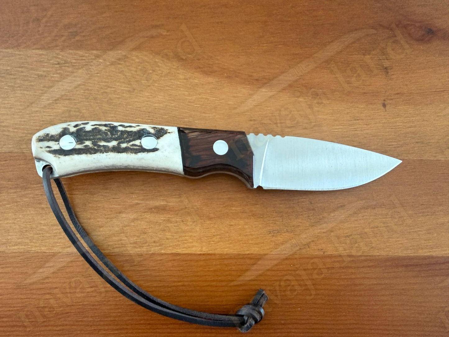 Joker Aguila Bushcraft Knife 3.34” MOVA Blade Deer Horn & Rosewood Handle