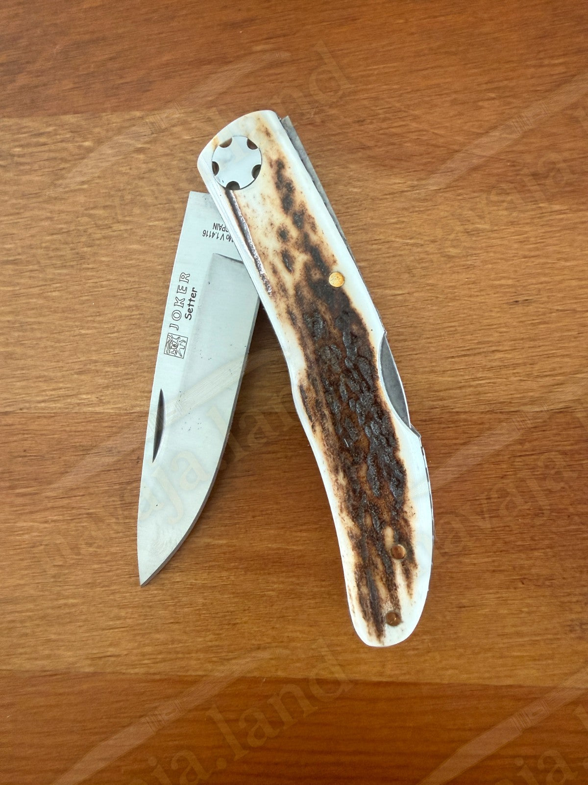 3.15” Joker Setter Bushcraft Folding Knife (Stag Horn Handle) Handmade Spain