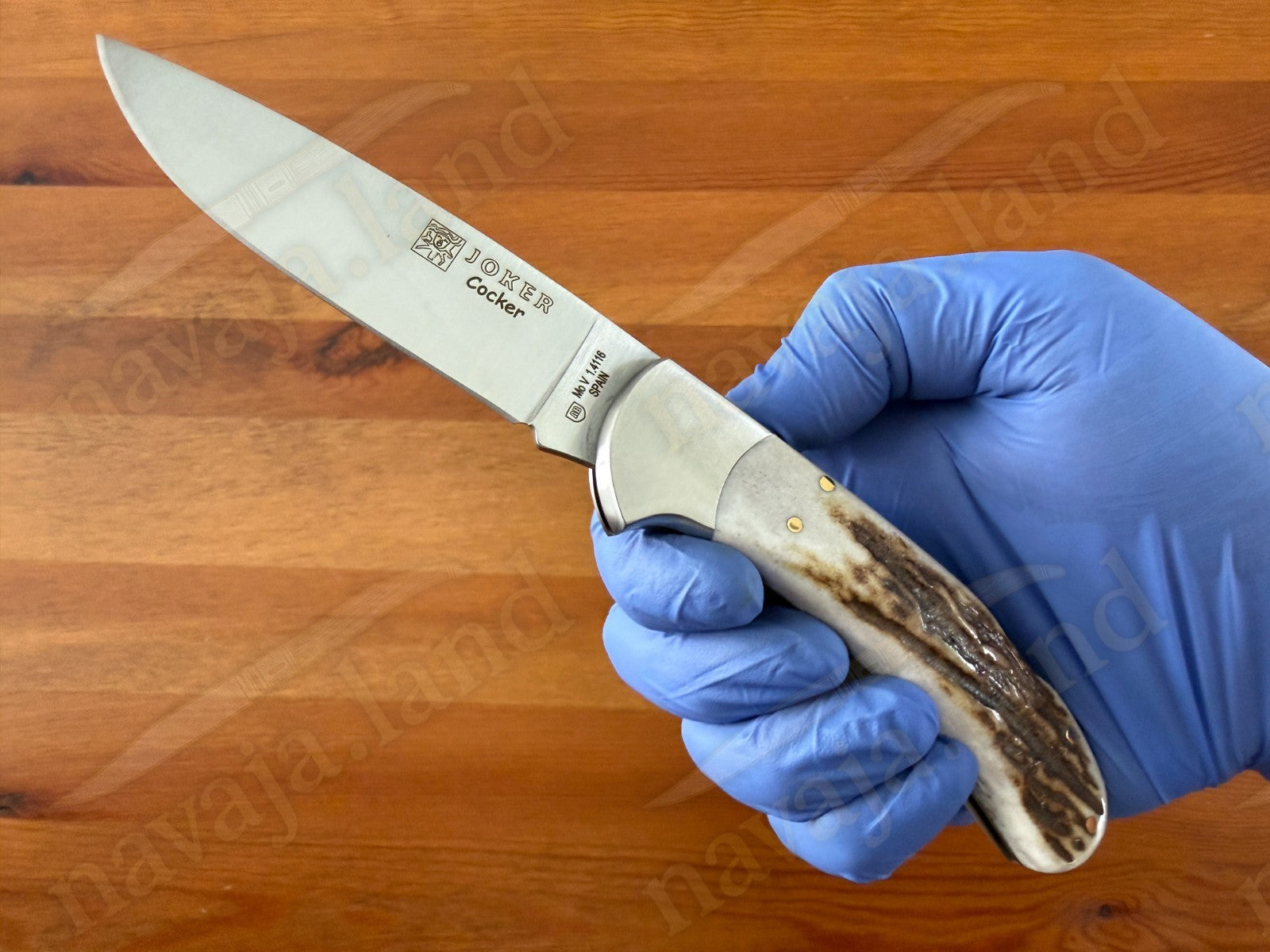 Joker Cocker Hunting Folding Knife 3.5” MOVA Blade Deer Antler Handle From Spain
