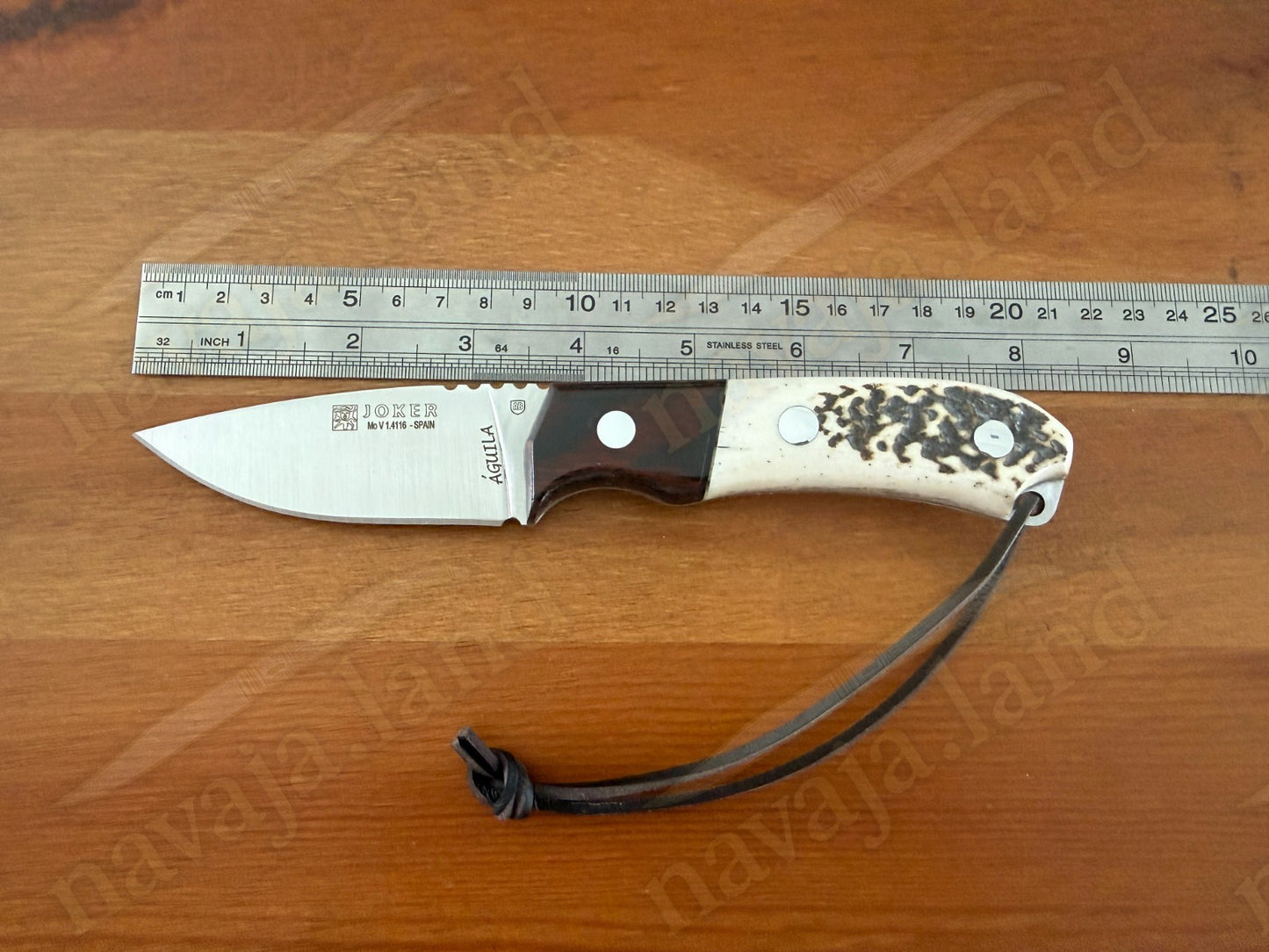 Joker Aguila Bushcraft Knife 3.34” MOVA Blade Deer Horn & Rosewood Handle