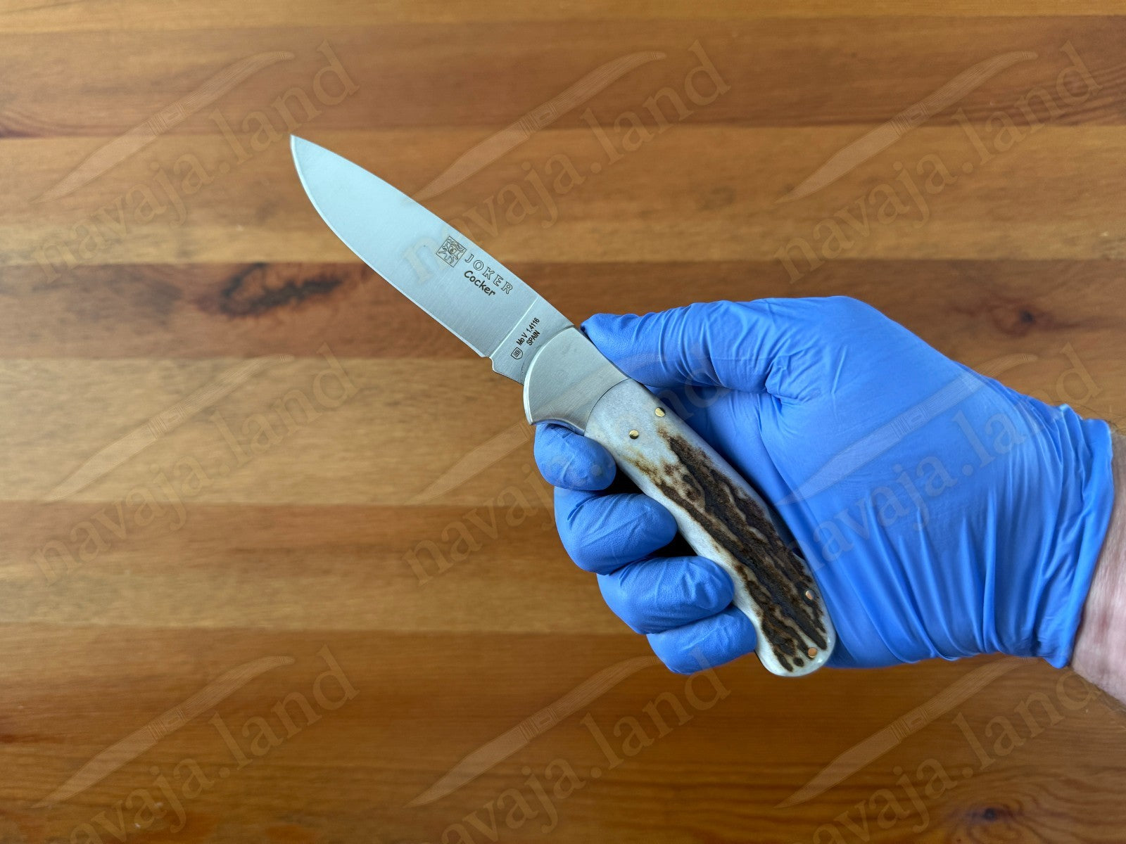 Joker Cocker Hunting Folding Knife 3.5” MOVA Blade Deer Antler Handle From Spain