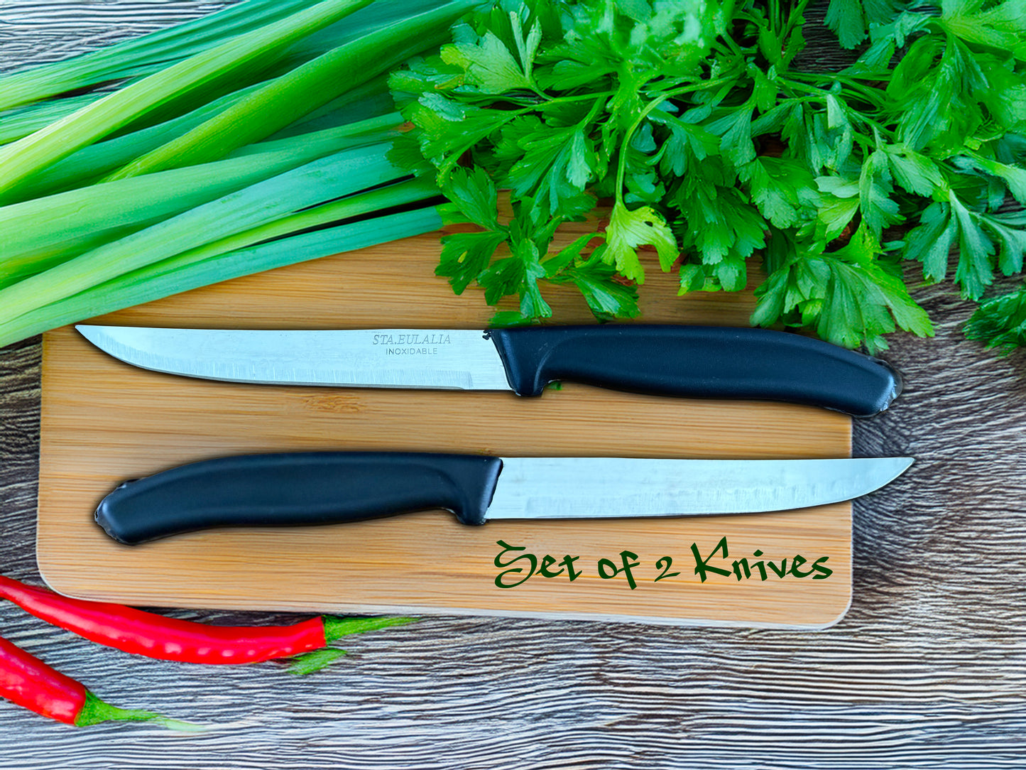 Set of 2 Table Knives with Injected Handle – Stainless Steel Blade From Spain