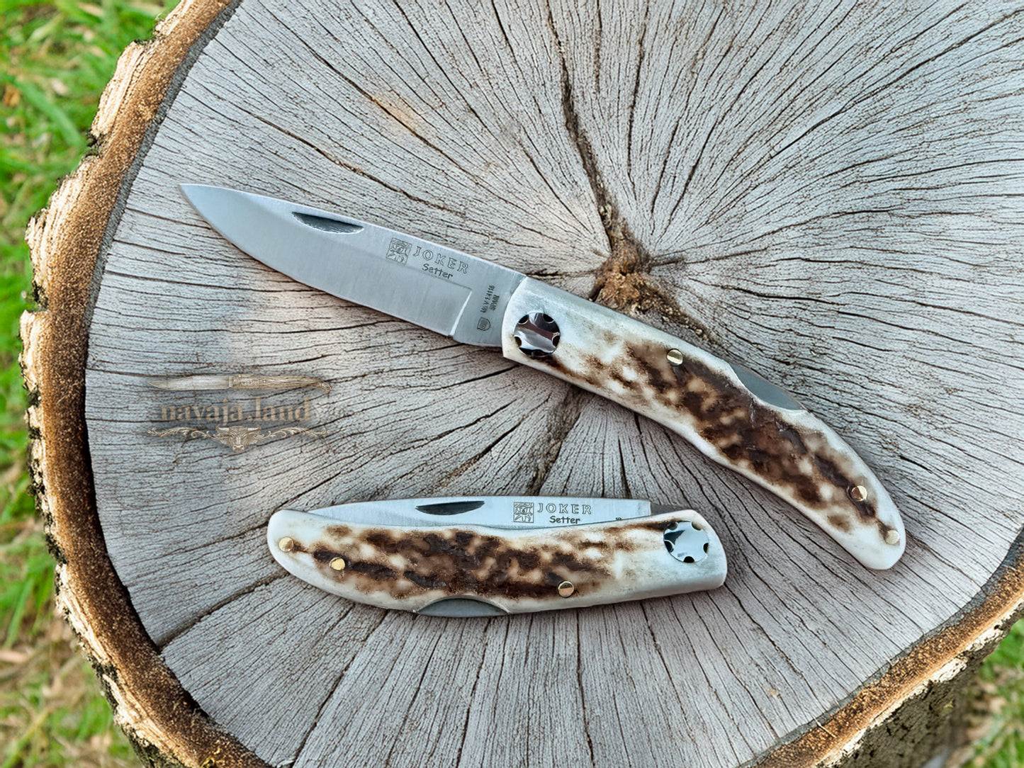 2.56” Joker Setter Bushcraft Folding Knife (Stag Horn Handle) Handmade Spain